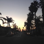 Kalifornisk gata